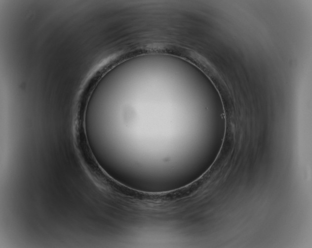 X0000088220728200705221803