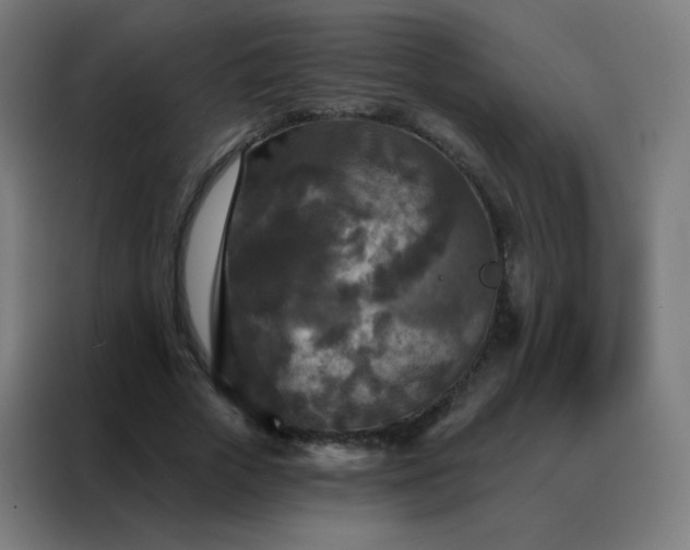 X0000088220729200705221803