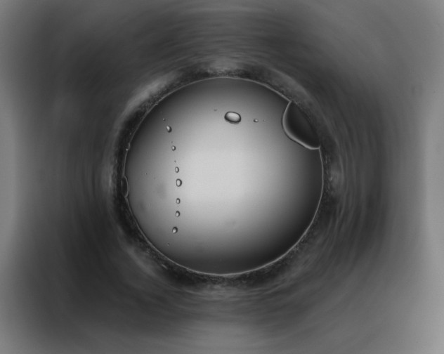 X0000088220732200705221803