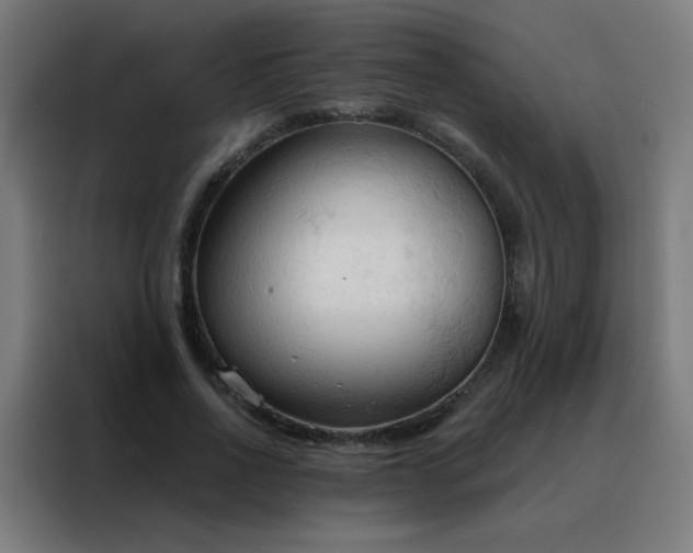 X0000088220734200705221803