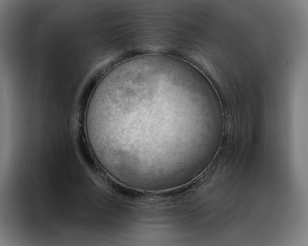 X0000088220736200705221803