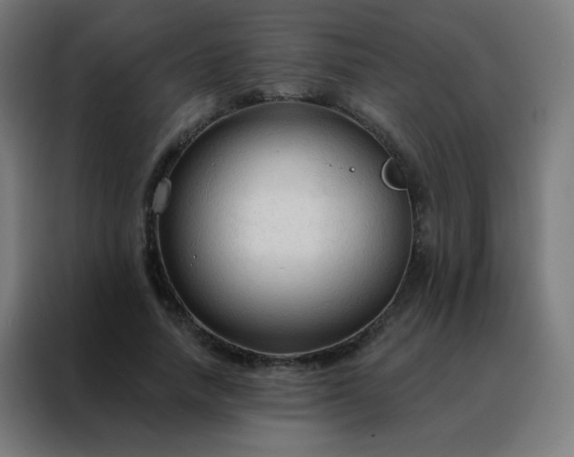 X0000088220738200705221803