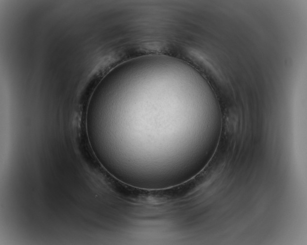 X0000088220739200705221803