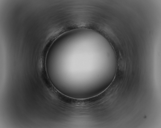 X0000088220740200705221803