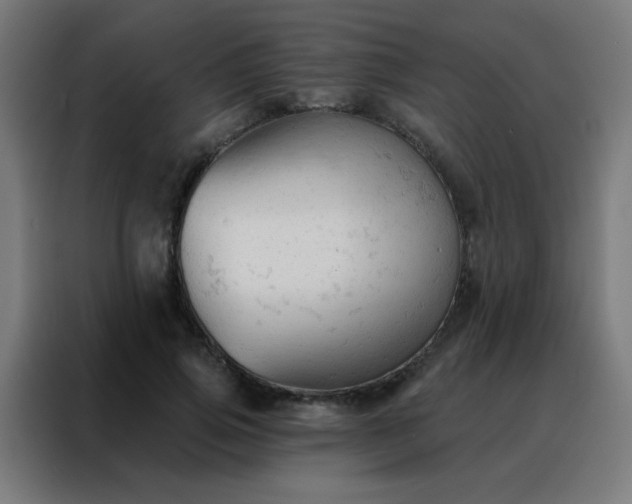 X0000088220741200705221803