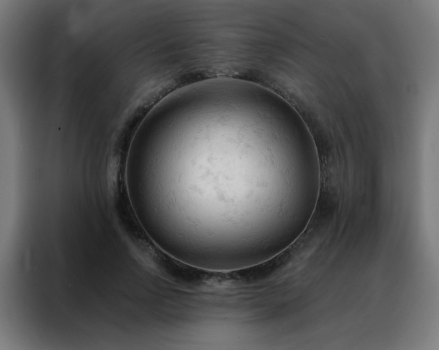 X0000088220742200705221803