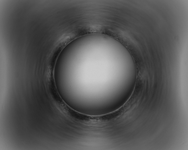 X0000088220744200705221803