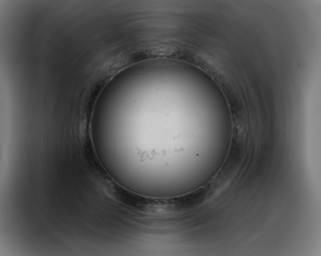 X0000088220745200705221803