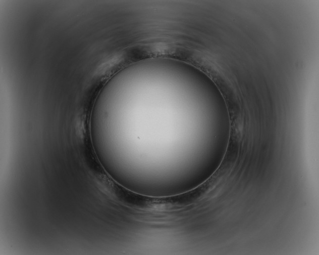 X0000088220746200705221803