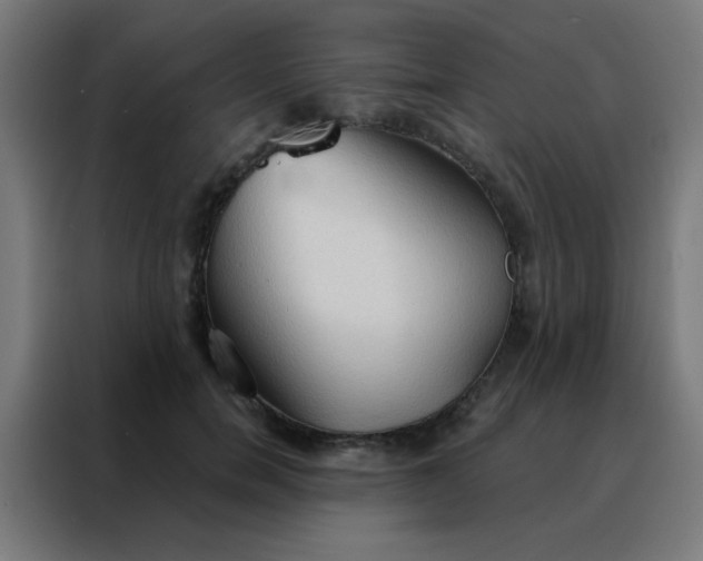 X0000088220750200705221803