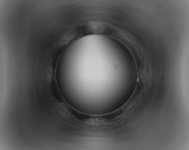 X0000088220752200705221803