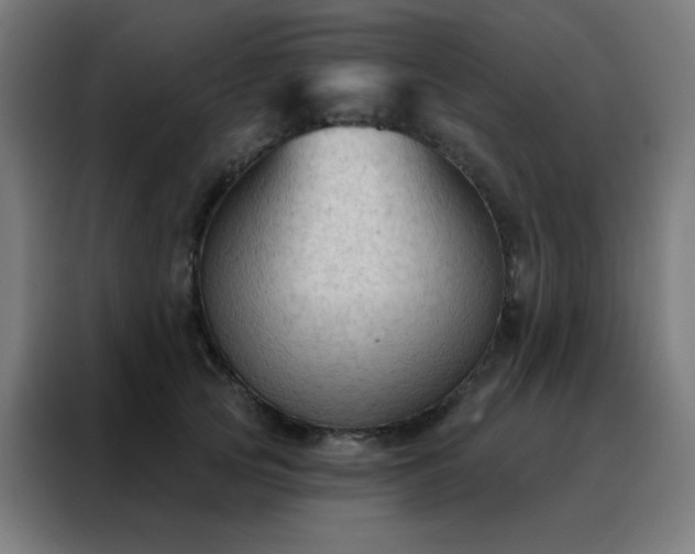 X0000088220753200705221803