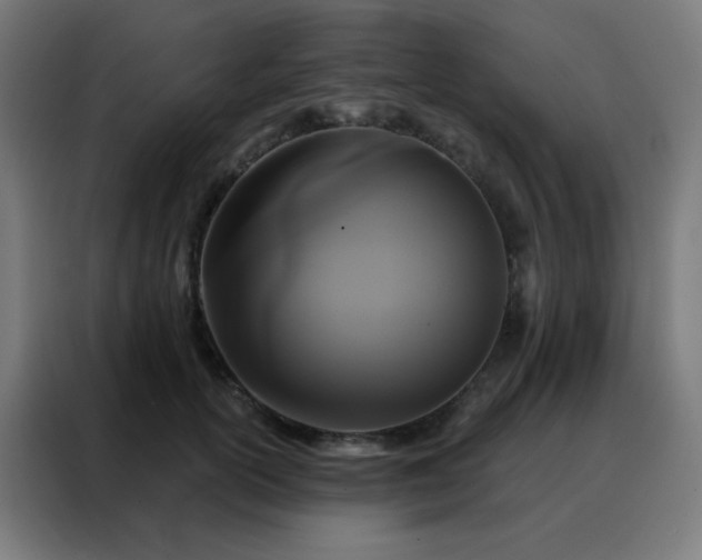 X0000088220754200705221803