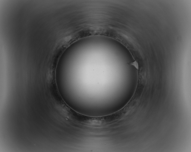 X0000088220756200705221803