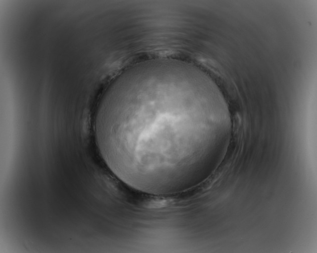 X0000088220760200705221803