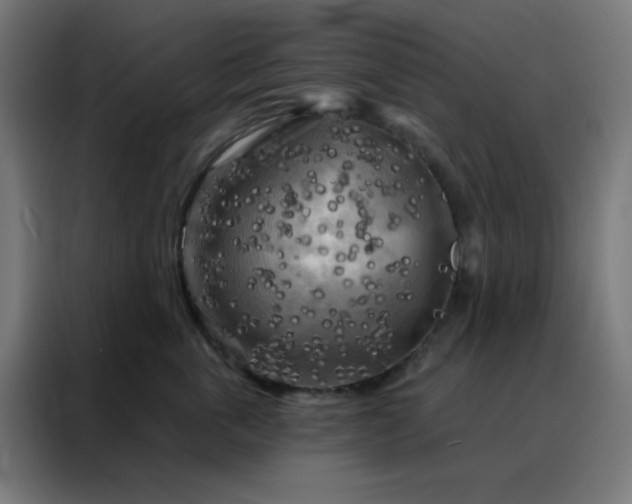 X0000088220763200705221803