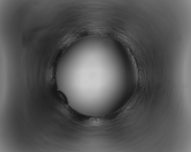 X0000088220764200705221803