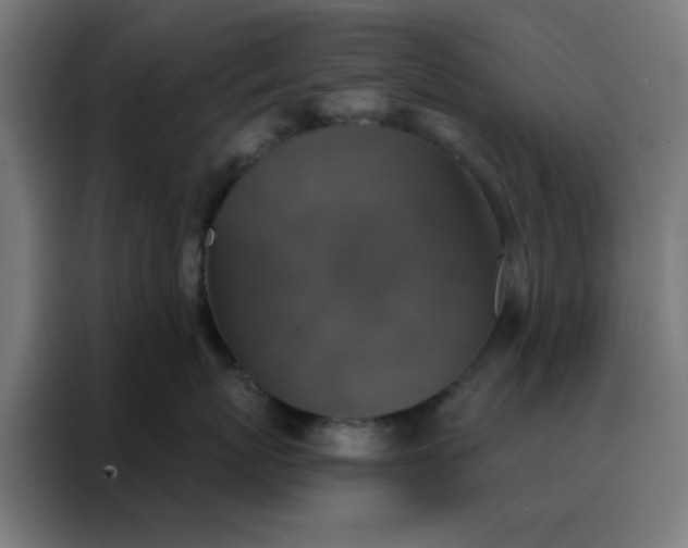 X0000088220767200705221804