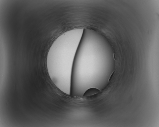 X0000088220768200705221804