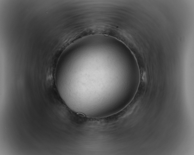 X0000088220771200705221803