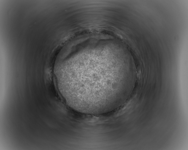 X0000088220772200705221803