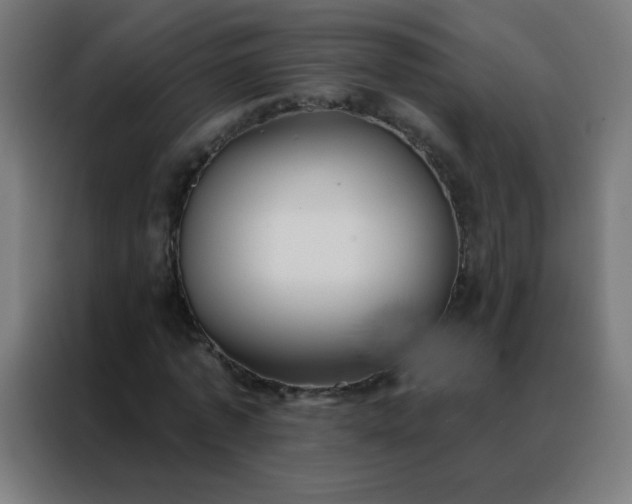 X0000088220773200705221803