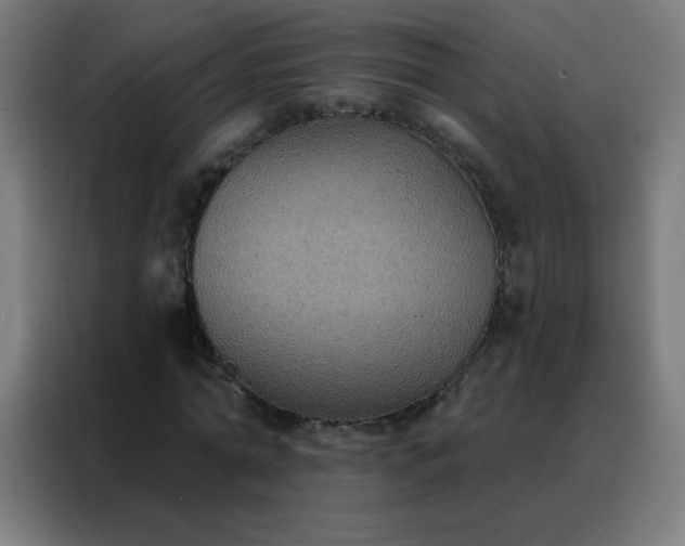 X0000088220774200705221803