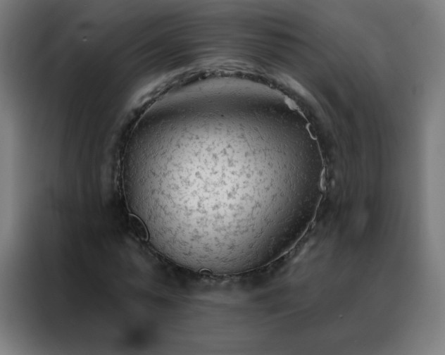 X0000088220775200705221803