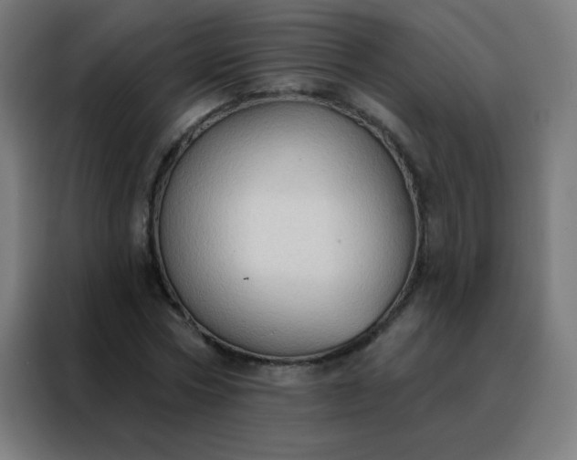 X0000088220778200705221803