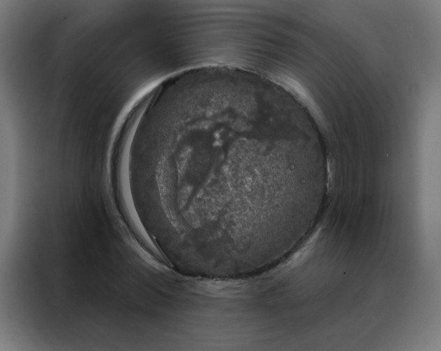 X0000088220780200705221803