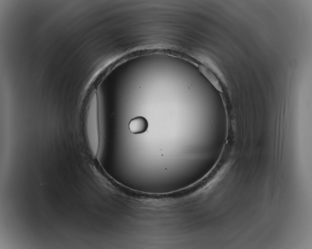 X0000088220781200705221803