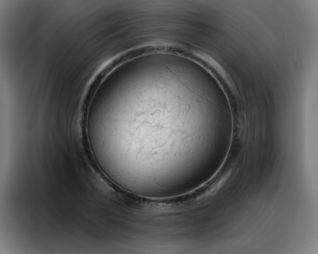 X0000088220783200705221803