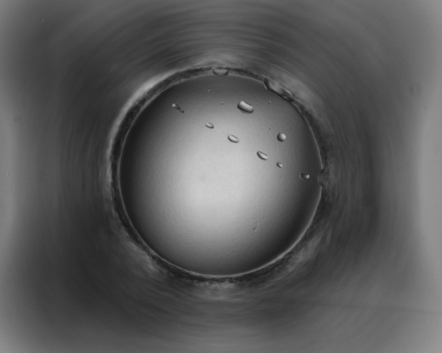 X0000088220784200705221803