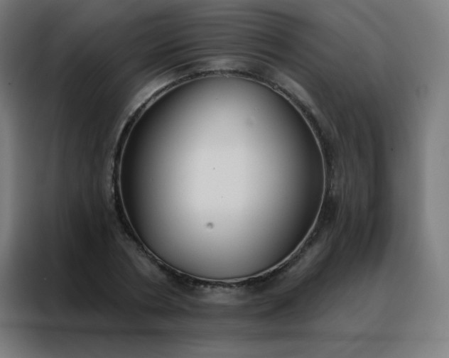 X0000088220786200705221803