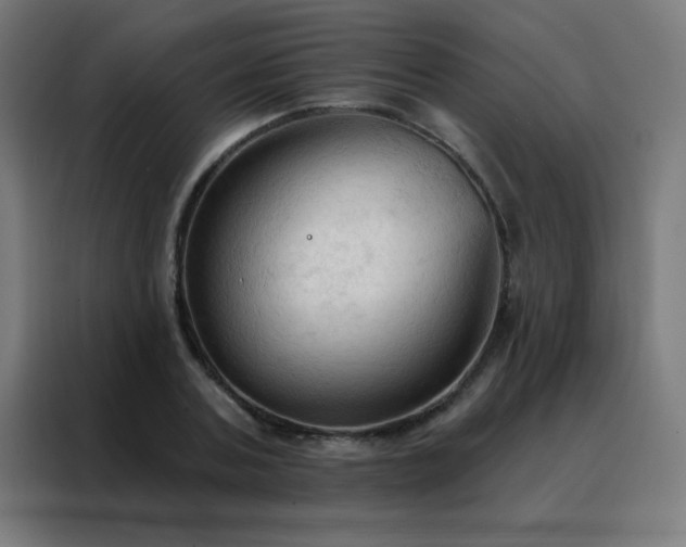 X0000088220787200705221803