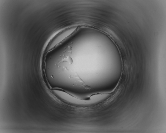 X0000088220788200705221803