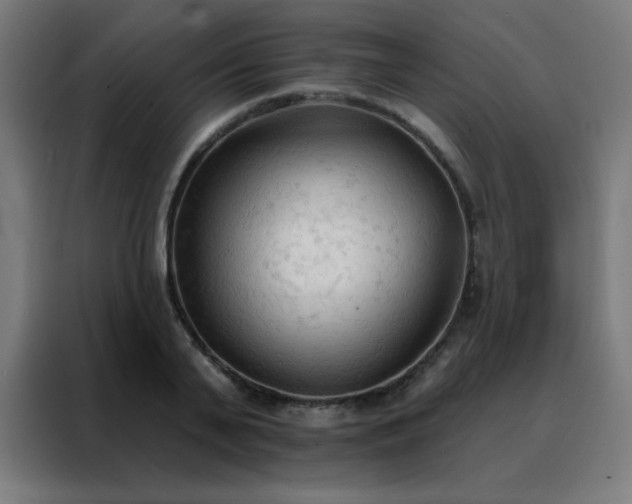 X0000088220791200705221803