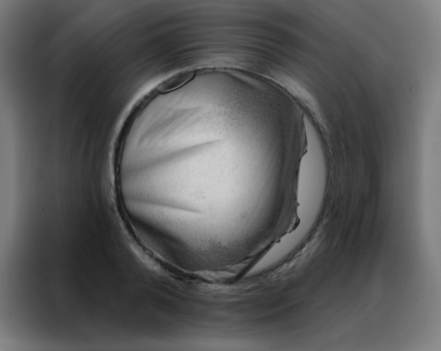 X0000088220792200705221803