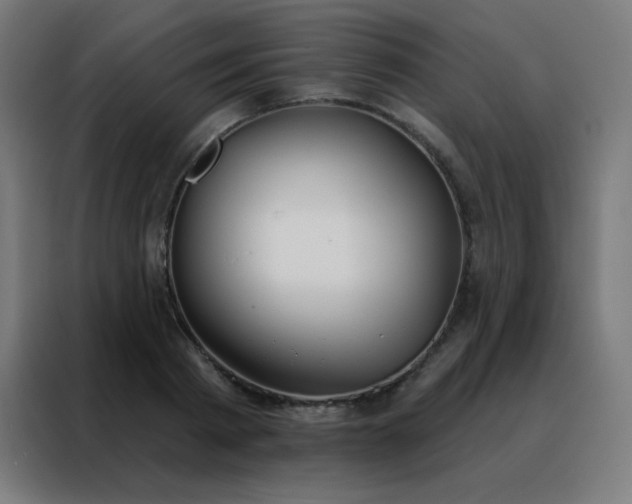 X0000088220793200705221803