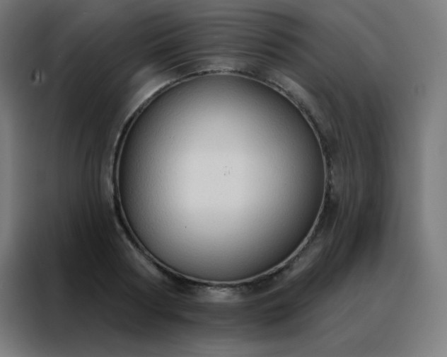 X0000088220794200705221803