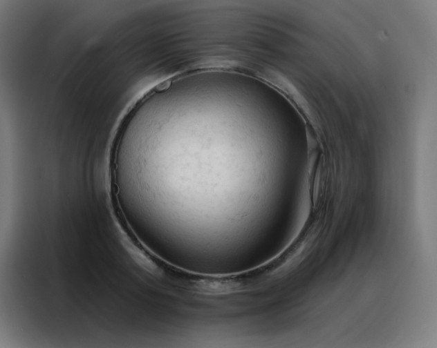 X0000088220795200705221803