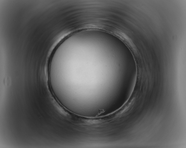 X0000088220796200705221803