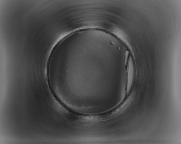 X0000088220797200705221803