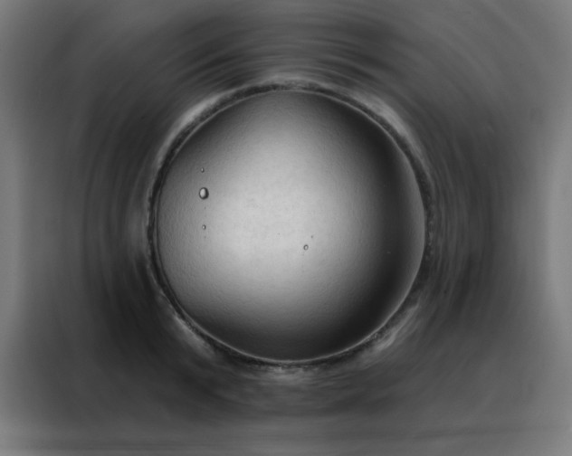 X0000088220799200705221803