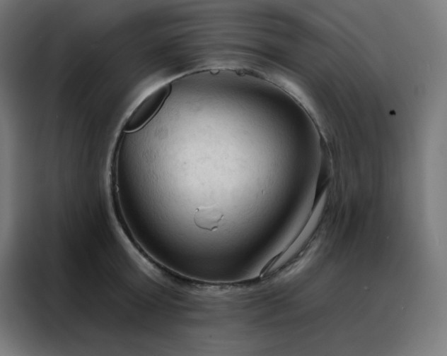 X0000088220803200705221802