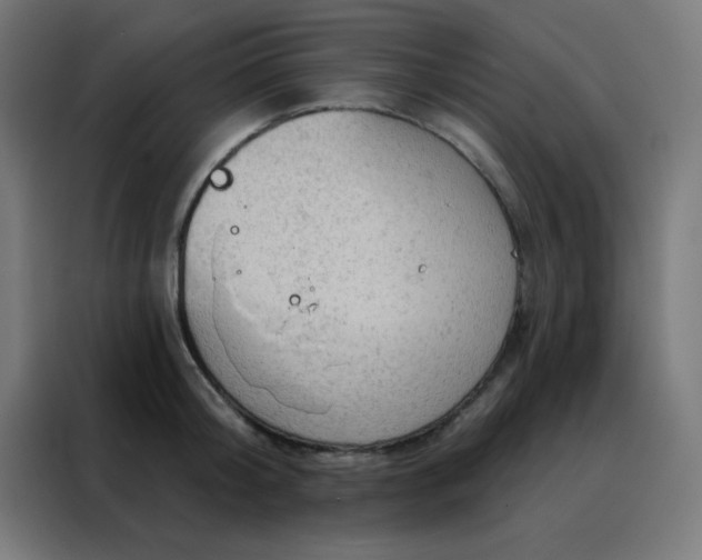 X0000088220804200705221802