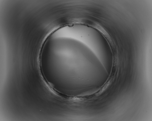 X0000088220806200705221802