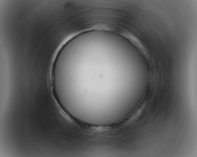 X0000088220808200705221802