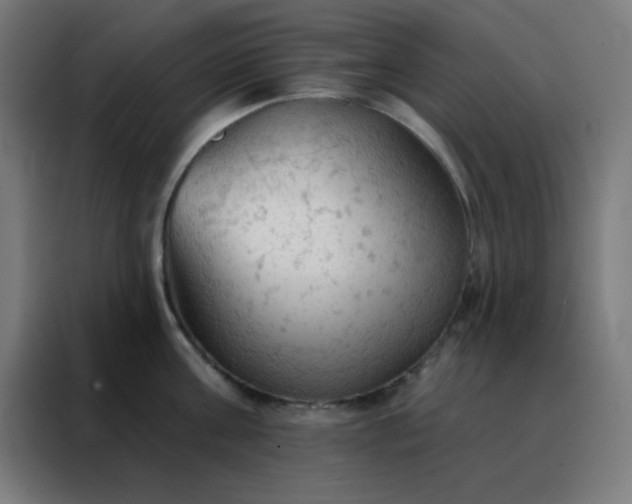 X0000088220811200705221802