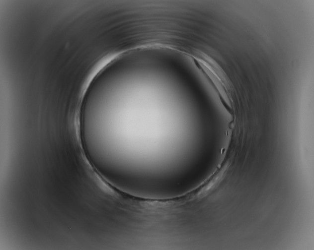 X0000088220812200705221802